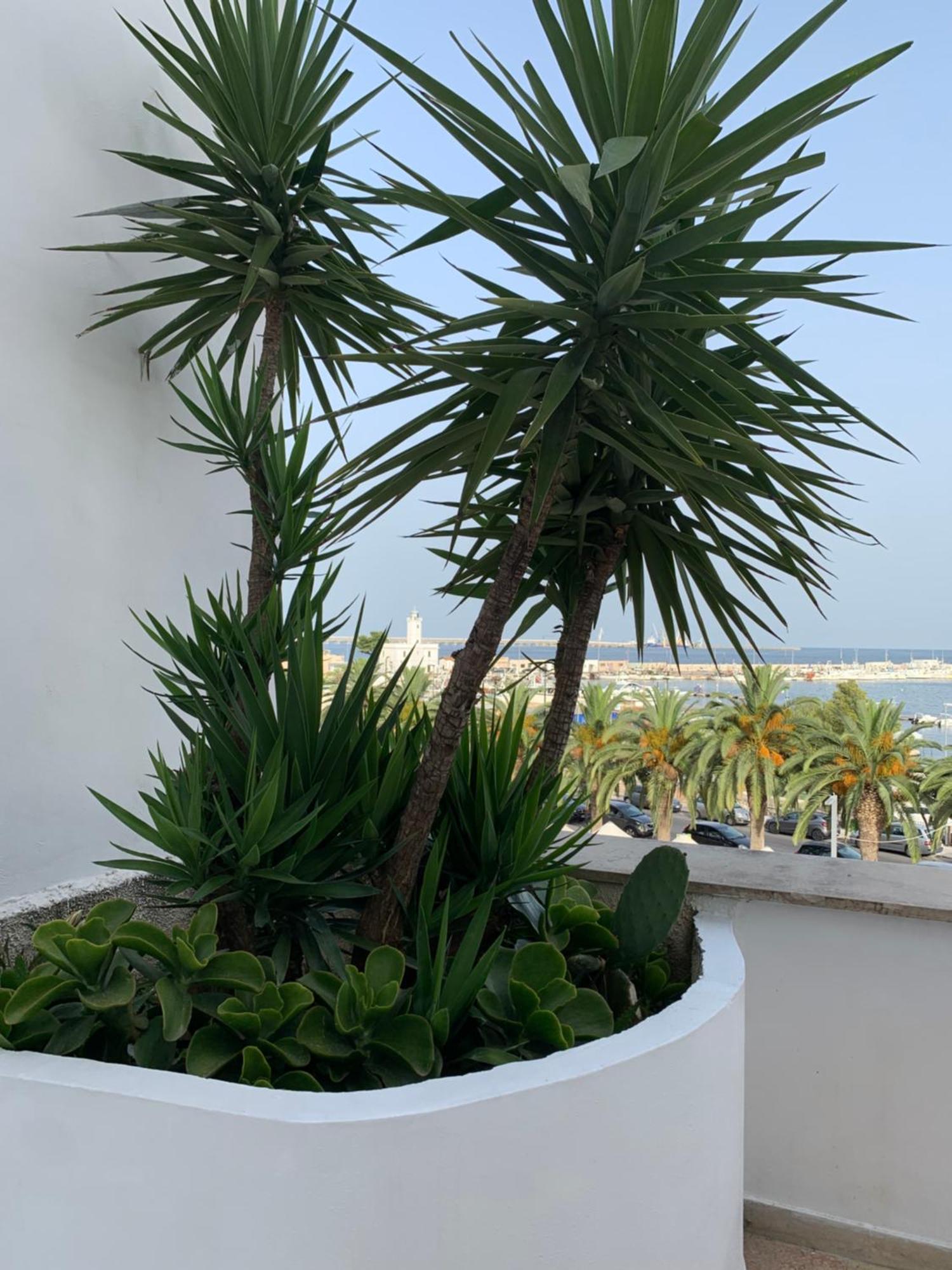 Terrazza Diomede- Manfredi Homes & Villas มันเฟรโดเนีย ภายนอก รูปภาพ
